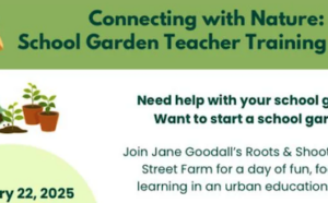 School Garden Teacher Training